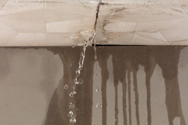 Professional Structural Drying technician working in Ward, AR